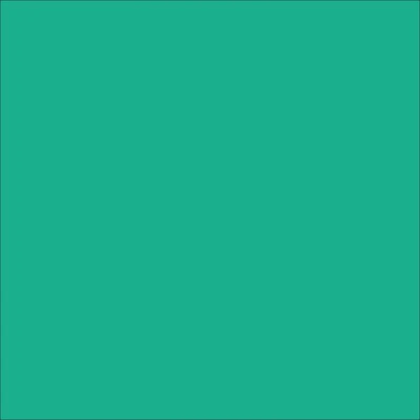 STAHLS' Premium Plus - Mynte - Mint - 419 STAHLS' CAD-CUT Premium Plus - Mynte - Mint - 419