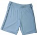 JAMES & NICHOLSON BASIC TEAM SHORTS